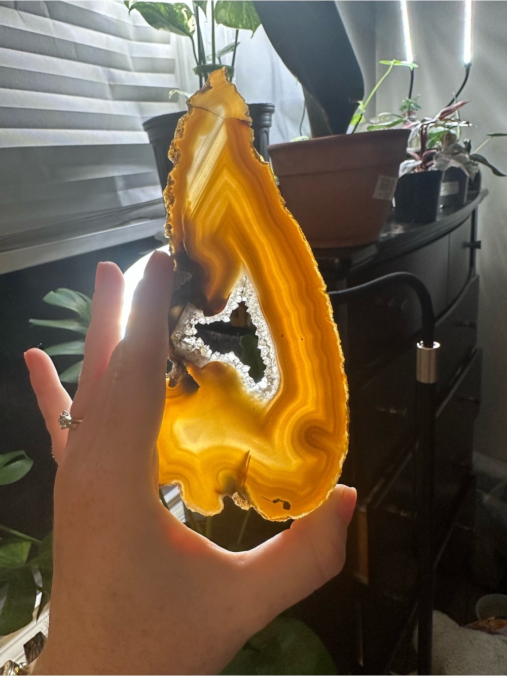 Natural Amber Agate Geode Slice - Home Accent
